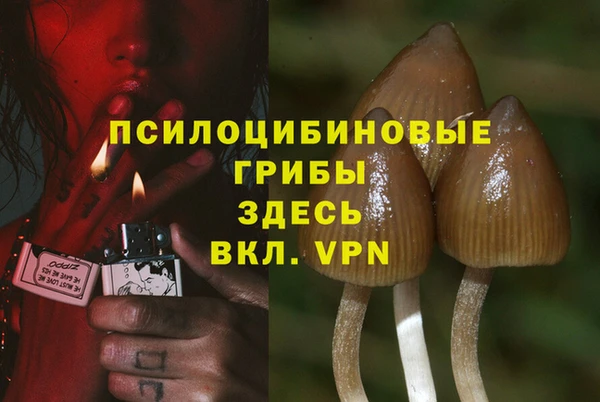 прущие крисы Алексин