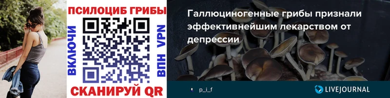 Галлюциногенные грибы Cubensis  магазин продажи   hydra вход  Кыштым 