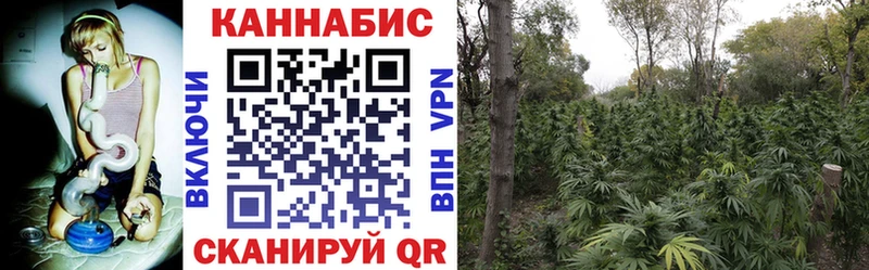 Шишки марихуана LSD WEED  МЕГА онион  Кыштым 